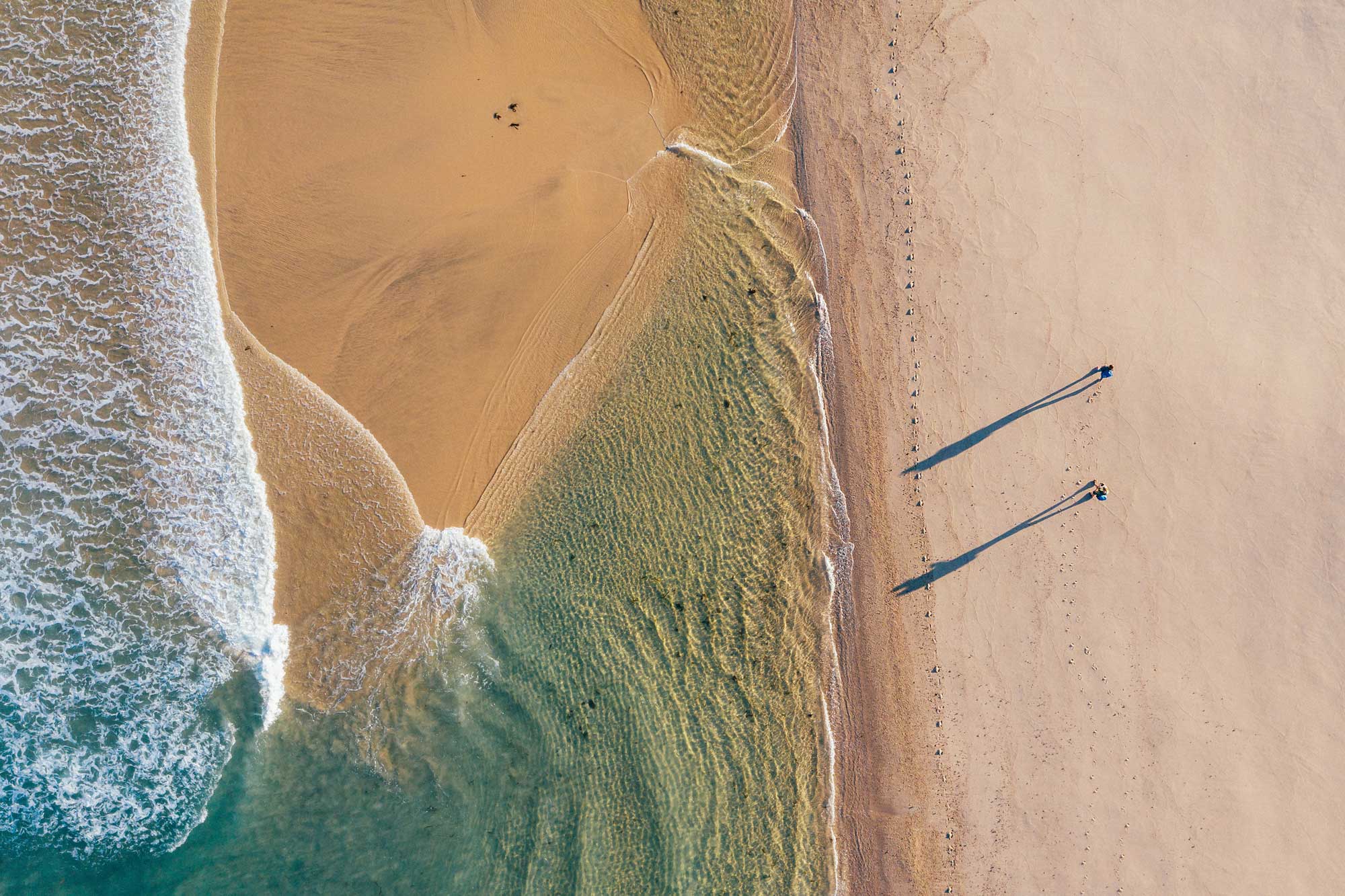 people on beach drone view